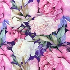 Miranda -  Zelected By ZannaZ