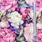 Miranda -  Zelected By ZannaZ