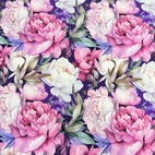 Miranda -  Zelected By ZannaZ