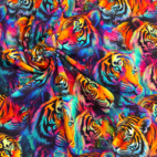 Färgglada tigrar -  Zelected By ZannaZ