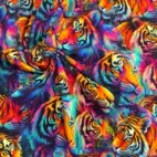 Färgglada tigrar -  Zelected By ZannaZ