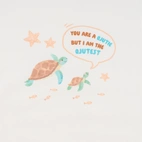 Panel - Sea Turtle