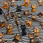 Randiga katter -  Zelected By ZannaZ