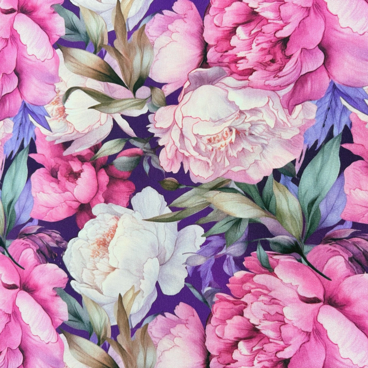 Miranda -  Zelected By ZannaZ