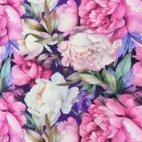 Miranda -  Zelected By ZannaZ