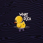 French terry | What the Duck by Thorsten Berger - panel