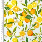 Viskos - Fruity Citrus
