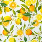 Viskos - Fruity Citrus
