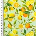 Viskos - Fruity Citrus, green