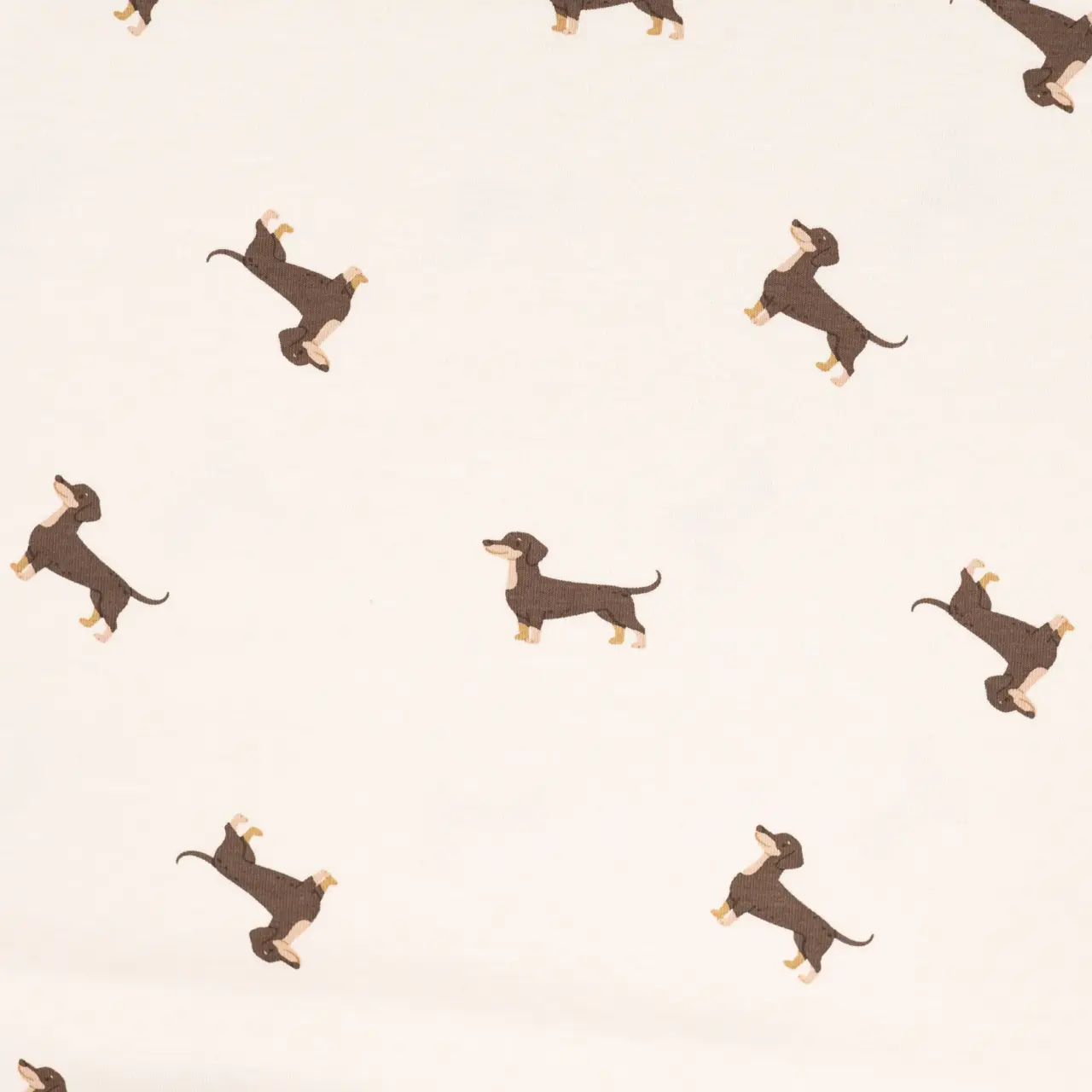 Knit fabric - Dachshunds