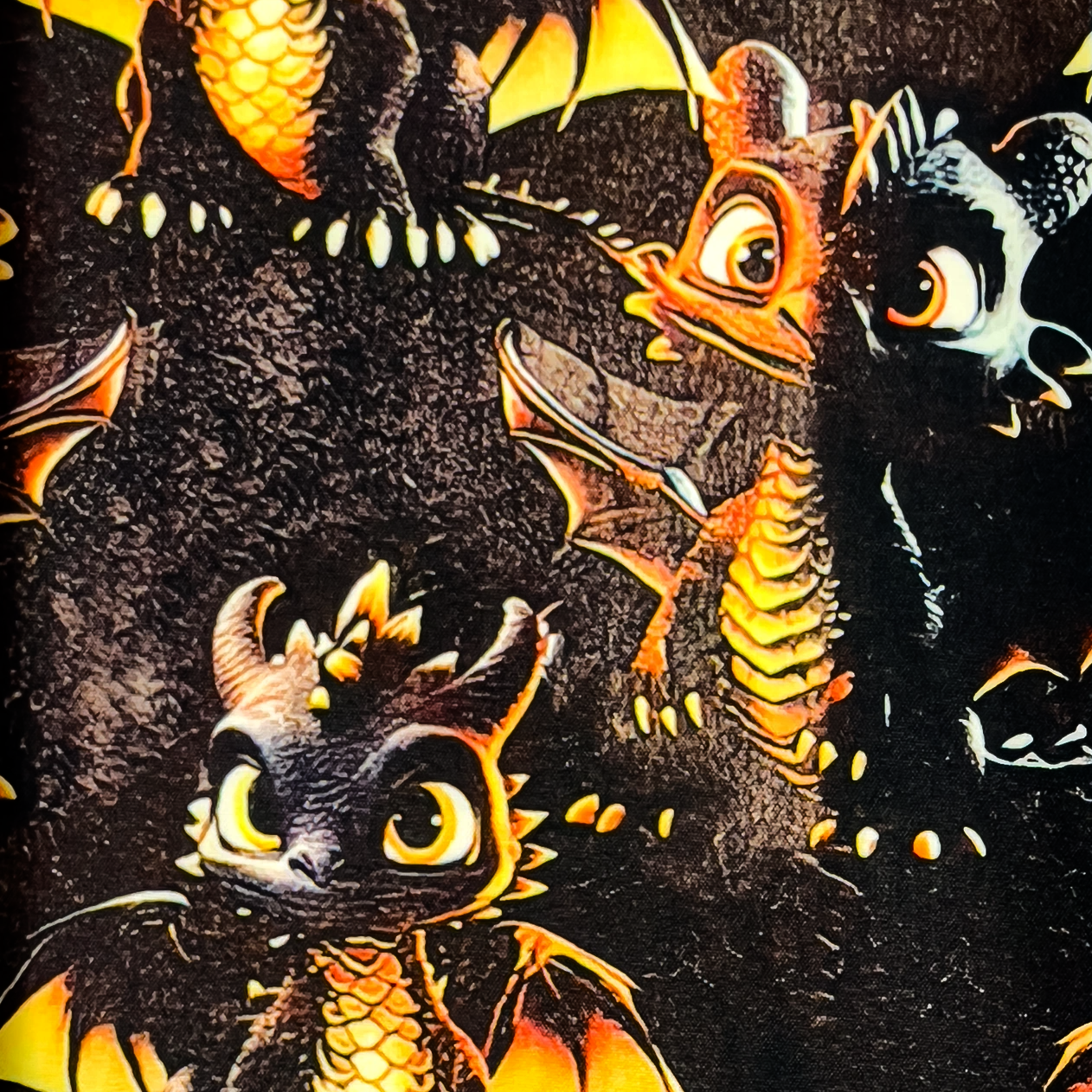 Black Dragons - Softshell