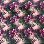 Zelected By ZannaZ - Gotic roses