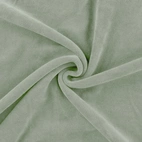 Velour/Plysch - Dusty mint
